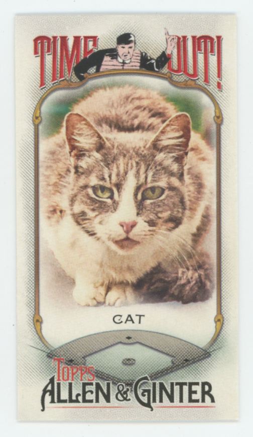 Cat 2022 Topps Allen & Ginter Mini Time Out #TO-6