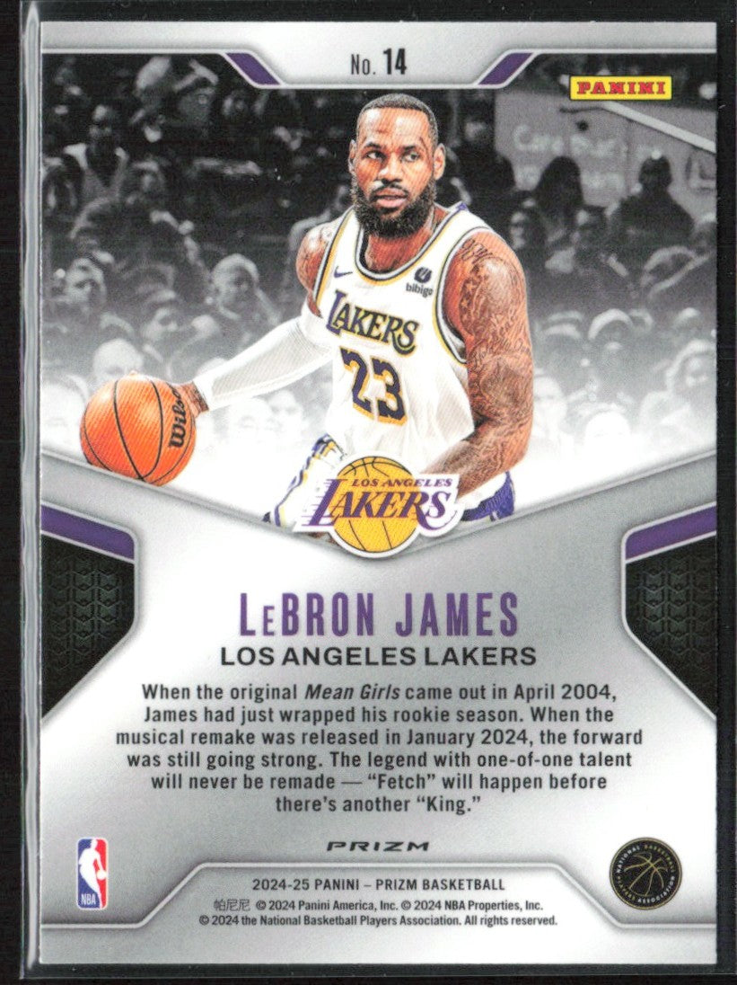 LeBron James 2024 Panini Prizm Dominance Silver #14 Los Angeles Lakers
