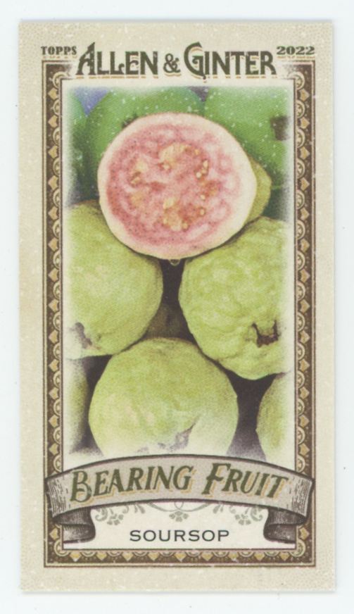Bearing Fruit 2022 Topps Allen & Ginter Mini Bearing Fruit #BF-9