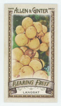 Langsat 2022 Topps Allen & Ginter Mini Bearing Fruit #BF-11