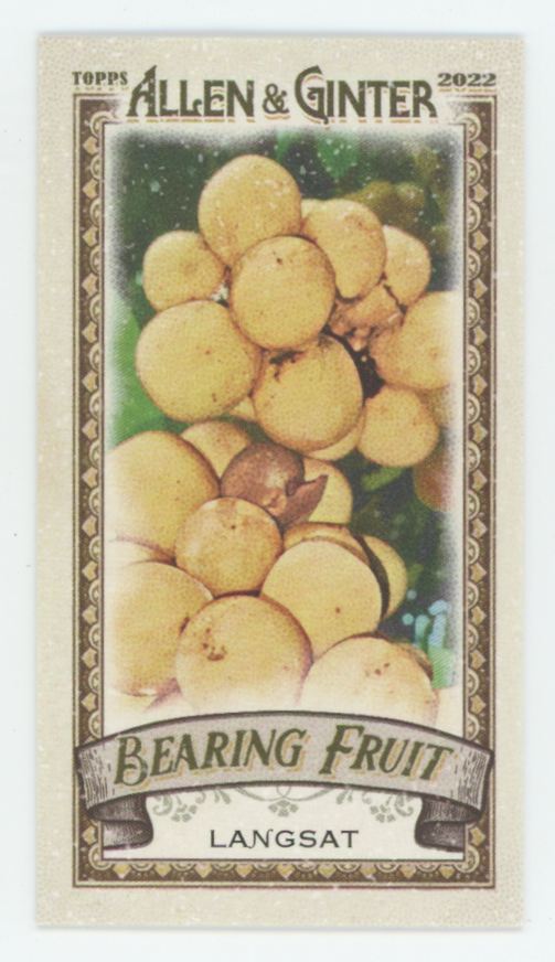 Langsat 2022 Topps Allen & Ginter Mini Bearing Fruit #BF-11