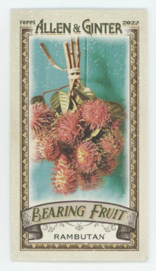 Rambutan 2022 Topps Allen & Ginter Mini Bearing Fruit #BF-15