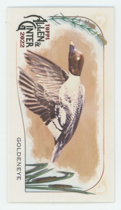 Goldeneye 2022 Topps Allen & Ginter Mini Ducks #MD-5