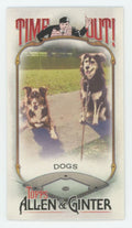 Dogs 2022 Topps Allen & Ginter Mini Time Out #TO-10