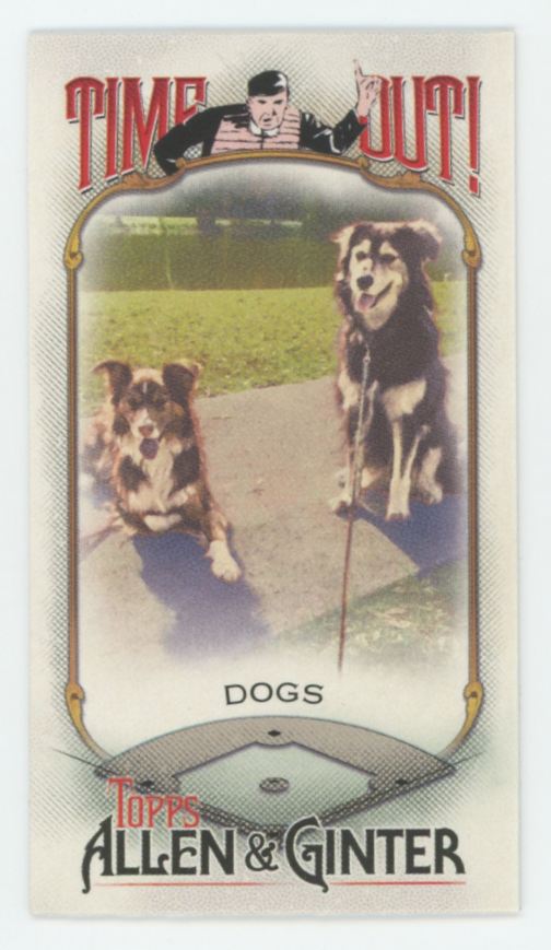 Dogs 2022 Topps Allen & Ginter Mini Time Out #TO-10