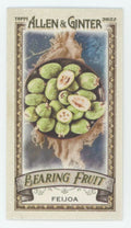 Feijoa 2022 Topps Allen & Ginter Mini Bearing Fruit #BF-8