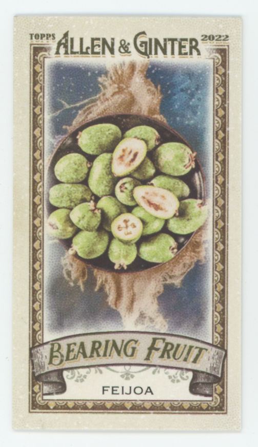 Feijoa 2022 Topps Allen & Ginter Mini Bearing Fruit #BF-8