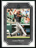 James Wood 2025 Panini Donruss Elite Series #8 Washington Nationals