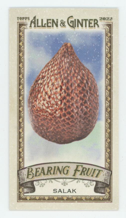 Salak 2022 Topps Allen & Ginter Mini Bearing Fruit #BF-16