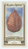 Salak 2022 Topps Allen & Ginter Mini Bearing Fruit #BF-16