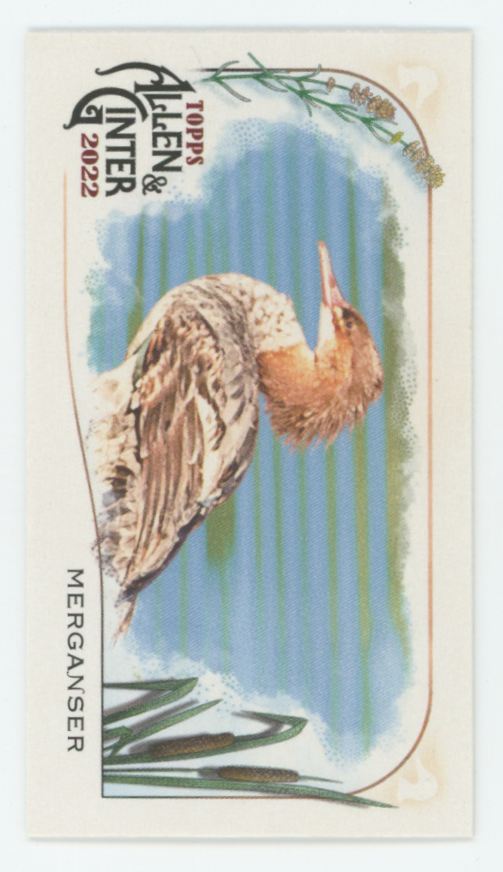 Merganser 2022 Topps Allen & Ginter Mini Ducks #MD-6
