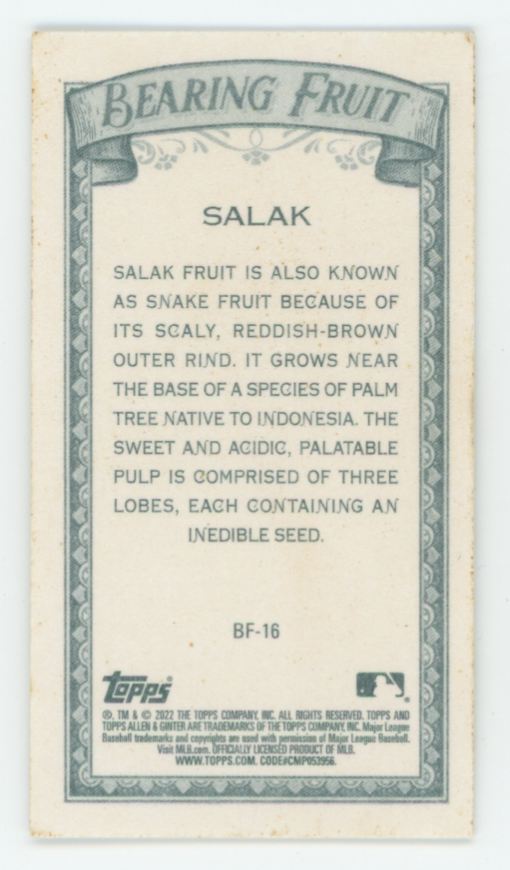 Salak 2022 Topps Allen & Ginter Mini Bearing Fruit #BF-16
