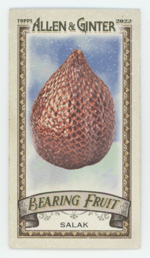 Salak 2022 Topps Allen & Ginter Mini Bearing Fruit #BF-16