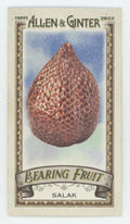 Salak 2022 Topps Allen & Ginter Mini Bearing Fruit #BF-16